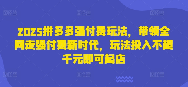2025拼多多强付费玩法，带领全网走强付费新时代，玩法投入不超千元即可起店