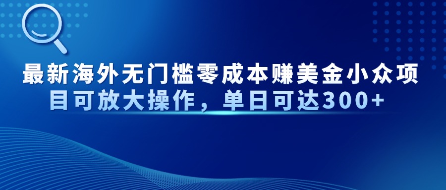 （14542期）最新海外无门槛零成本赚美金小众项目可放大操作，单日可达300+