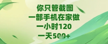 你只管截图，一部手机在家做，苹果安卓都可以，一天5张+