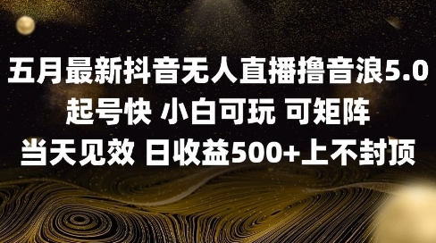 2025五月最新无人直播撸音浪单日产出5张+实操教程