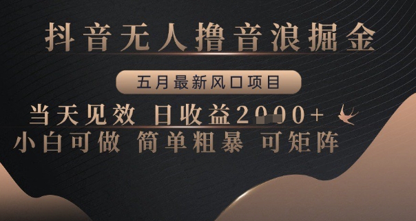 抖音无人撸音浪掘金，五月最新风口项目，当天见效，日收益多张，小白可做简单粗暴可矩阵