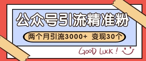 公众号精准粉引流玩法，2个月3000+精准粉，变现30个W