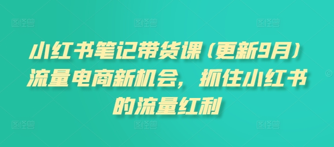 小红书笔记带货课(更新25年6月)流量电商新机会，抓住小红书的流量红利