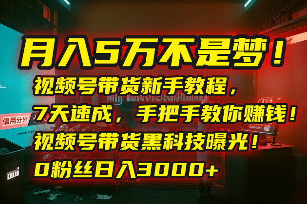 （15595期）月入5万不是梦！视频号带货新手教程，7天速成，手把手教你赚钱！视频号…