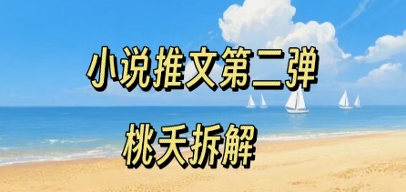 小说推文项目操作全流程第二弹，0粉就能做，门槛低非常适合新手