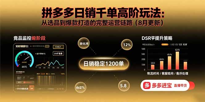 （15850期）拼多多日销千单高阶玩法：从选品到爆款打造的完整运营链路（8月更新）