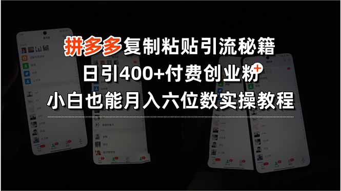 （15613期）拼多多复制粘贴引流秘籍，日引400+付费创业粉，小白也能月入六位数实操…