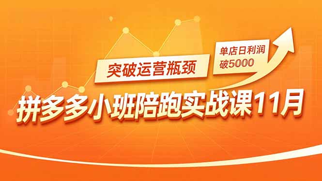 （16654期）拼多多小班陪跑实战课11月，强付费矩阵、原价活动、暗券引流，突破运营瓶颈，单店日利润破5000