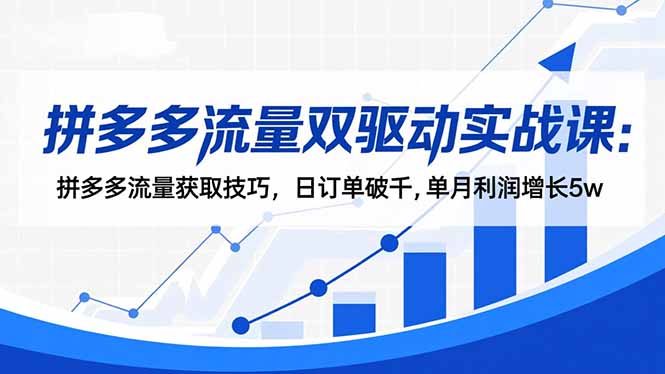 （16563期）拼多多流量双驱动实战课：拼多多流量获取技巧，日订单破千,单月利润增长5w