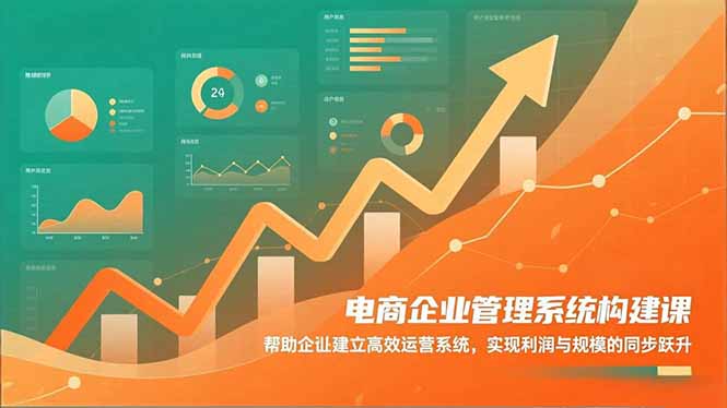 （16643期）电商企业管理系统构建课：帮助企业建立高效运营系统，实现利润与规模的同步跃升