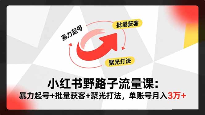 （16513期）小红书野路子流量课：暴力起号+批量获客+聚光打法，单账号月入3万+