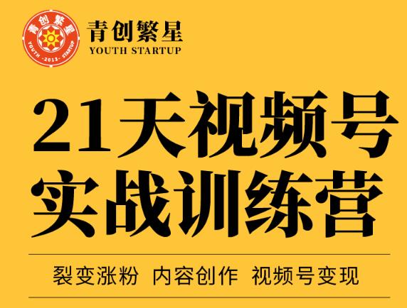 张萌21天视频号实战训练营,裂变涨粉、内容创作、视频号变现 价值298元